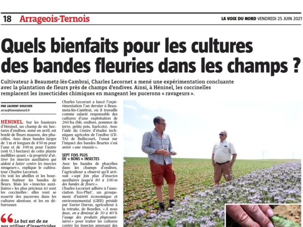 article de presse chemin histoire 7